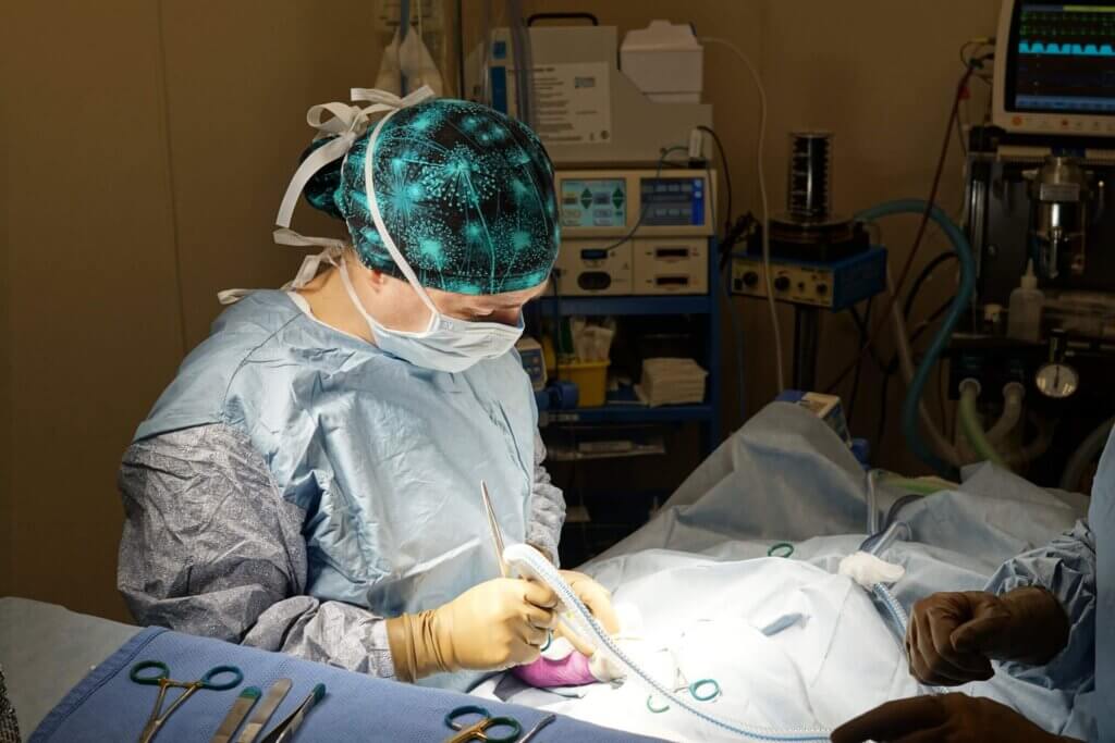 Pet Surgeon - All Pets Animal Hospital