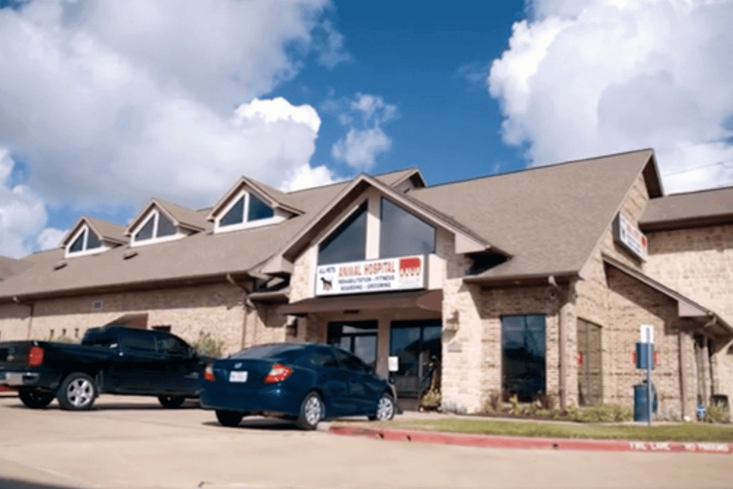 Katy Animal Hospital - All Pets Animal Hospital & 24-Hour Emergency Care
