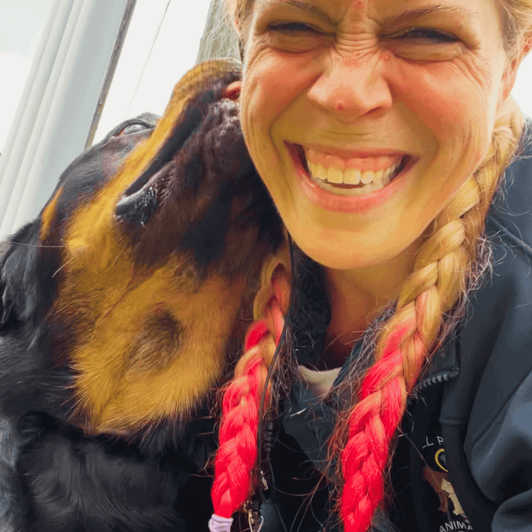 Dog Animal Caregivers - All Pets Animal Hospital