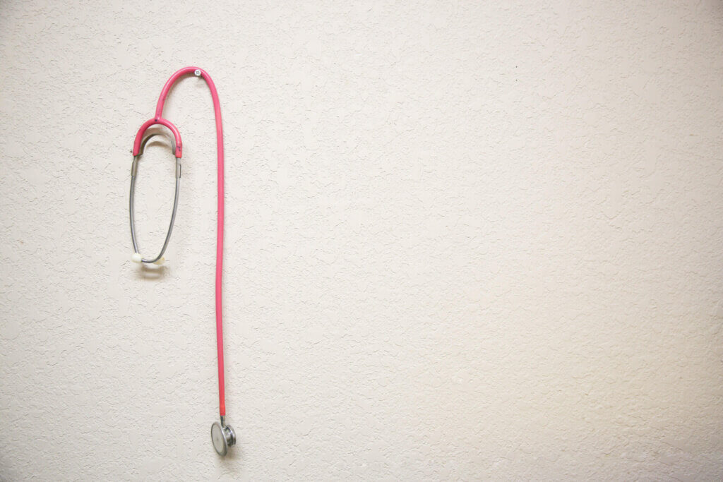 Pet Stethoscope - All Pets Animal Hospital