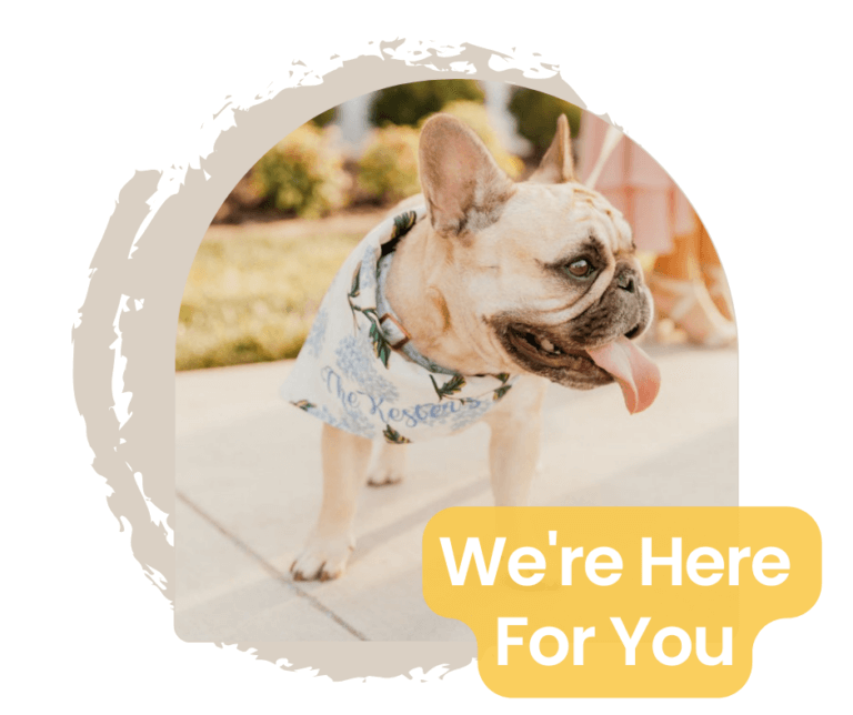 Pet Wellness - All Pets Animal Hospital