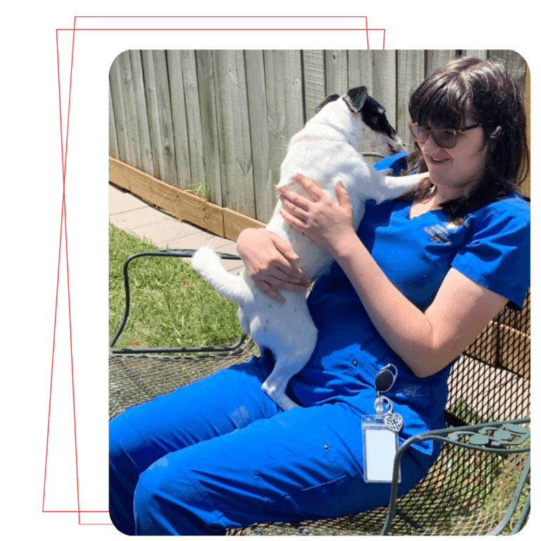 Pet Insurance Solutions - All Pets Animal Hospital