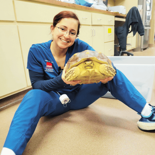 Client Pet Turtle - All Pets Animal Hospital